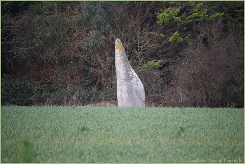 Menhir