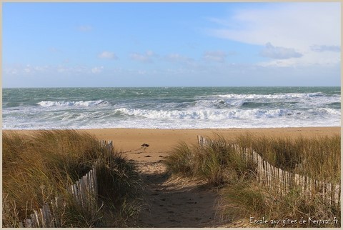 Grand site de France Dunes Sauvages de Gâvres à Quiberon