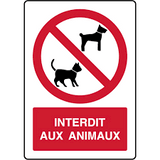 interdit aux chiens escale aux gîtes de kerprat